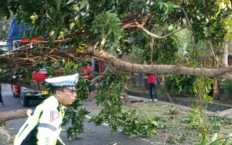 Baliberkarya.com - Suara Rakyat Bali Membangun