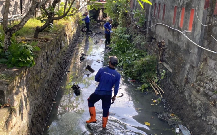 Baliberkarya.com - Suara Rakyat Bali Membangun