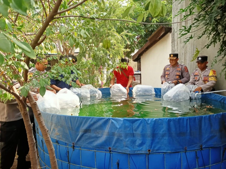 Baliberkarya.com - Suara Rakyat Bali Membangun