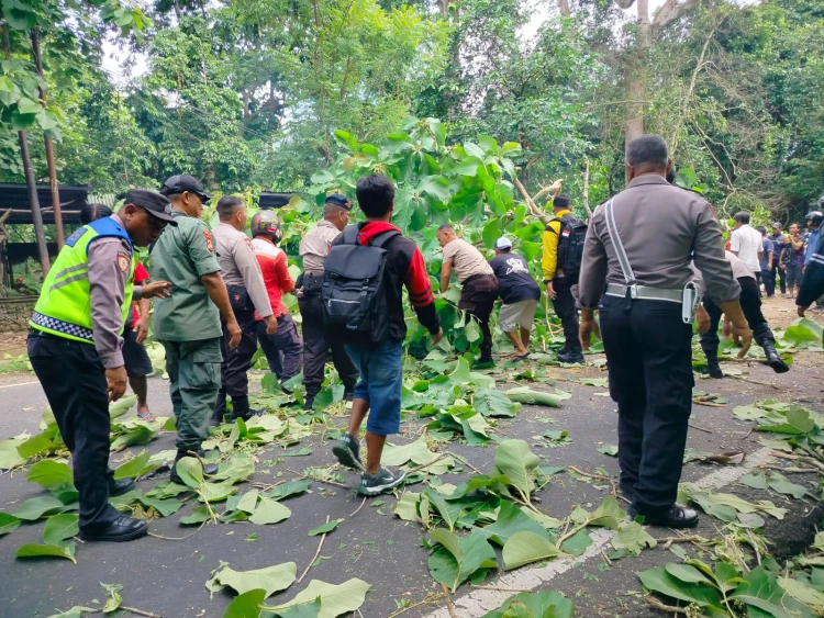 Baliberkarya.com - Suara Rakyat Bali Membangun